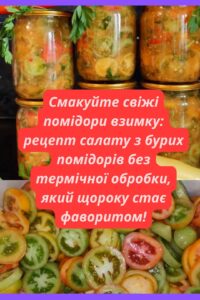 Смакуйте свіжі помідори взимку: рецепт салату з бурих помідорів без термічної обробки, який щороку стає фаворитом!