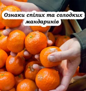 4 ознаки, які вказують на те, що мандарин солодкuй. Варто знатu, перед тим як купляти