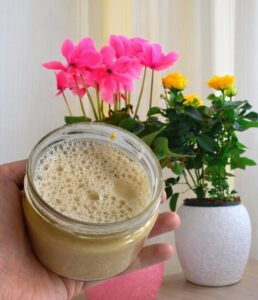 Щоб кімнатні рослини почали гарно рости та квітнути, їх завжди поливають цим стимулятором 💪