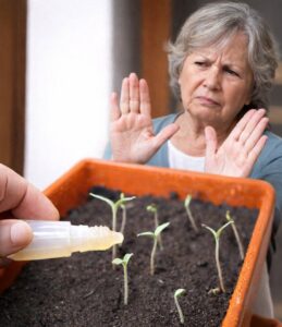 Чого не варто робити під час вирощування розсади, щоб не залишитись без врожаю