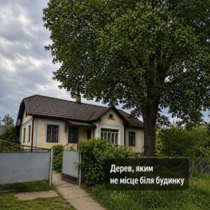 6 дерев, яким не місце біля вашого дому. Від них більше шк0ди ніж користі.