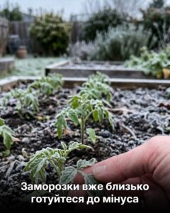 «Похолодання накриють всю Україну»: синоптики оголосили про різку зміну погоди!